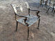 Литое железо стиля француза вне таблицы и бронзы стульев античной для парка